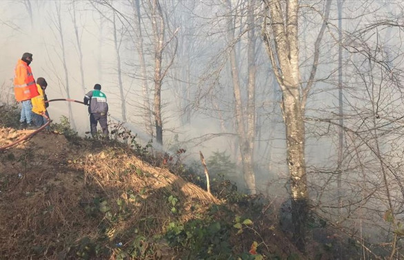 Karadeniz Bölgesi'ndeki tüm yangınlar kontrol altına alındı
