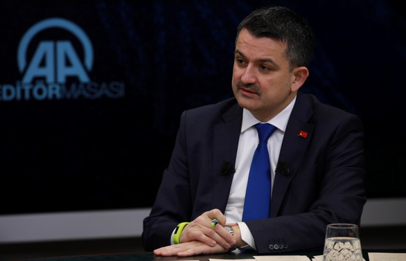 Tanzimde bakliyat dönemi