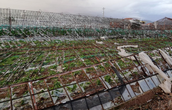 Meteorolojinin uyarısı sonrası gözler gıda fiyatlarında