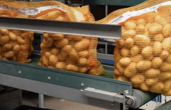 Patates ithalatını McCain Food mu yapacak?