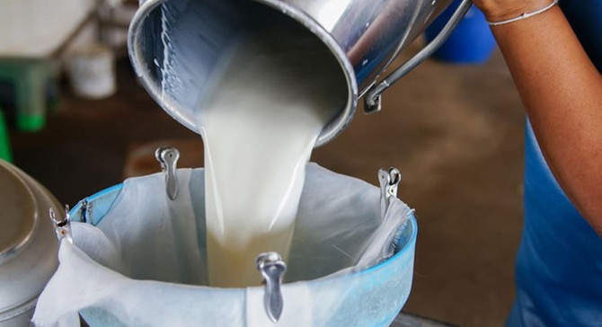 Şubatta 751 ton süt toplandı