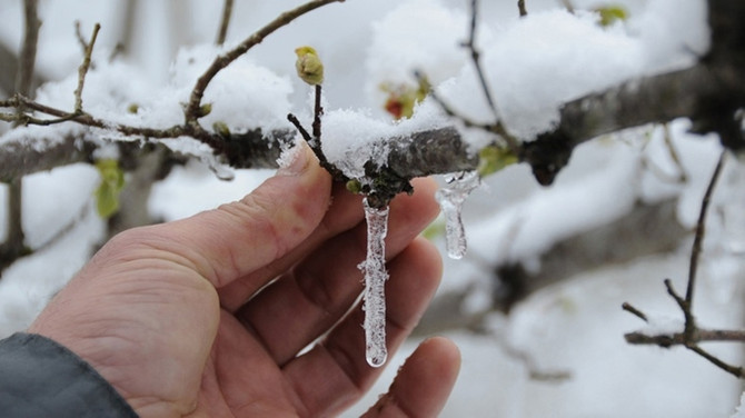 Meteorolojiden zirai don uyarısı
