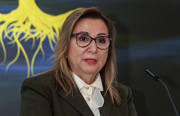 Ticaret Bakanı Pekcan: Ekonomide icraat dönemine girdik