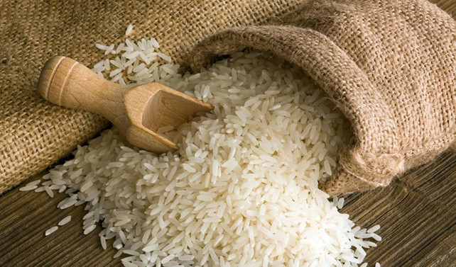 Konuralp pirincinde ekim zamanı