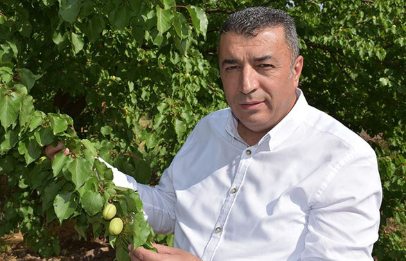 'Şu an tüketiciye sunulan kayısı Malatya kayısısı değil'