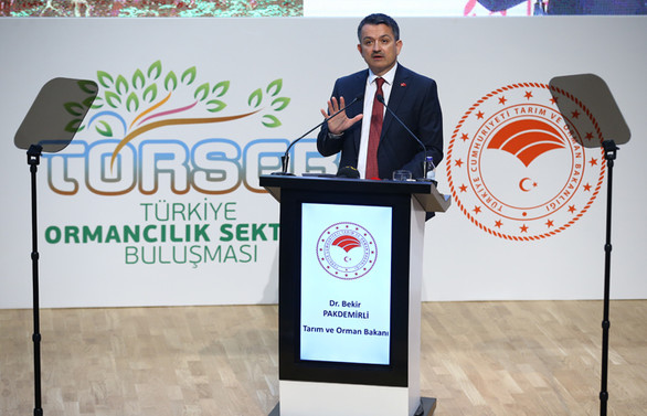 Ormancılık sektöründen cari açığa 4 milyar dolarlık katkı