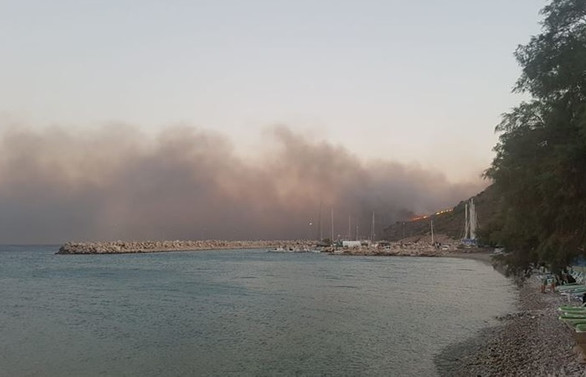 Muğla'da orman yangını