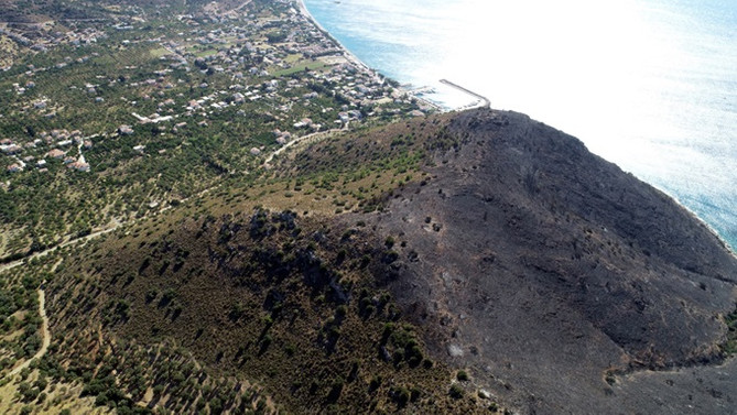 Muğla'daki yangında 5 hektar alan zarar gördü