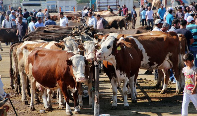 2019 yılı vekalet yoluyla kurban kesim bedeli belli oldu