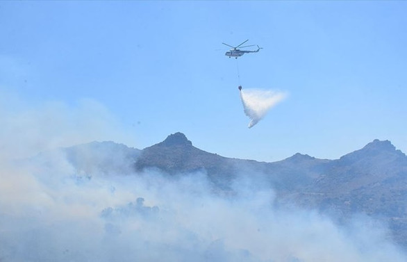 Bodrum'da orman yangını