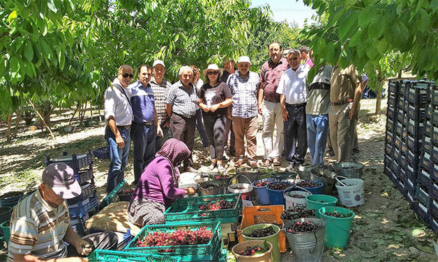 Türkiye, Çin’e kiraz ihracatında ABD’nin tahtını sallayacak