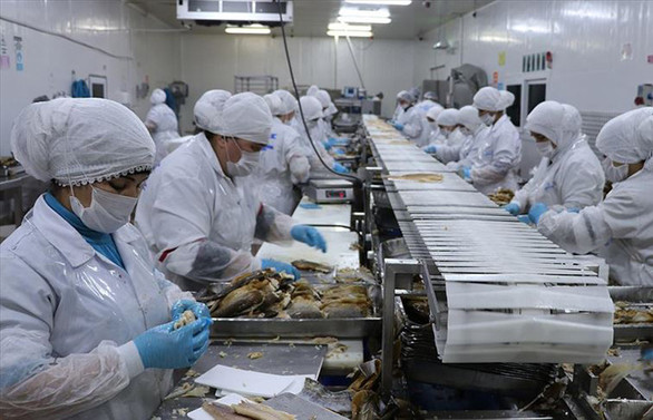 Çin ve Japonya'ya tütsülenmiş alabalık ihracatı başladı