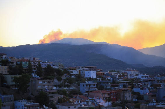Muğla'daki orman yangınları kısmen kontrol altına alındı