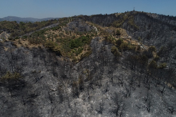 İzmir'deki orman yangınına müdahale sürüyor