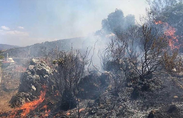 Muğla'daki orman yangını söndürüldü