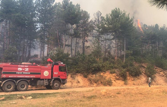 Uşak'ta ormanlık alanda yangın çıktı