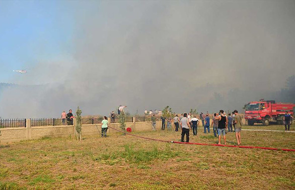 Çanakkale'de orman yangını