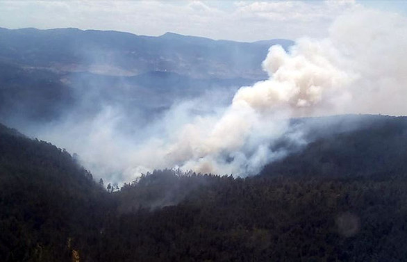 Bursa'da orman yangını