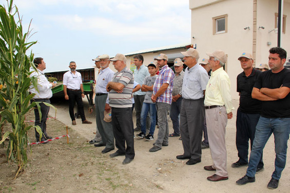 MAY Tohum mısır üreticilerini Ar-Ge istasyonunda ağırladı