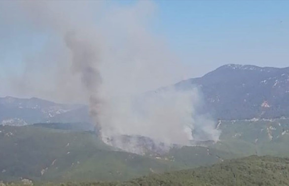Antalya'da orman yangını