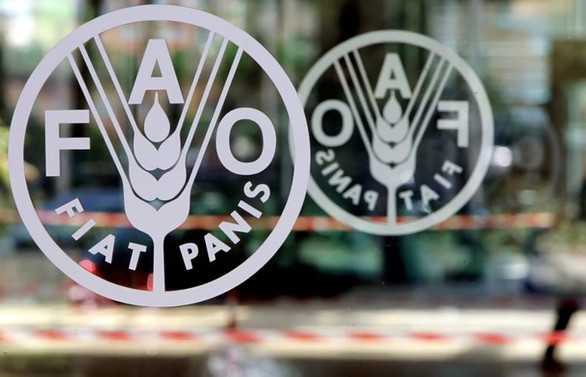 FAO'dan Türkiye'deki tarım uygulamalarına övgü
