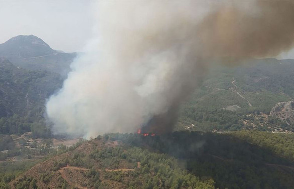 Muğla'da orman yangını