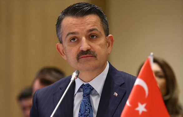 Tarım ve Orman Bakanı Pakdemirli: Kıbrıs isale hattında kopukluk gözlemlendi