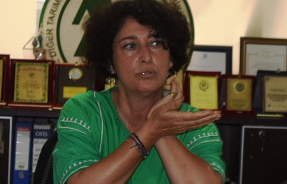 “Yerelde tüm unsurların yer aldığı tarım eko sistemi kurulmalı”