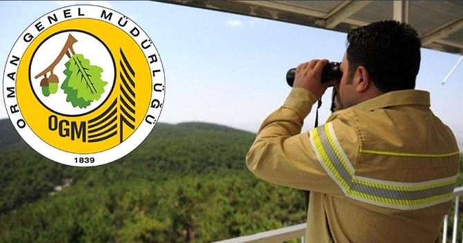 Orman Genel Müdürlüğü, 274 daimi işçi alacak