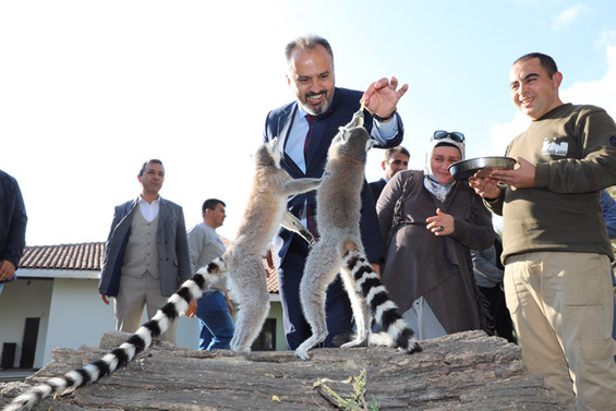 Bursa Zoo 20 yaşında