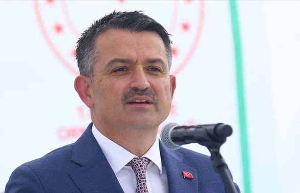 Pakdemirli: Orman köylüsüne 17 yılda 2,8 milyar liralık destek verildi