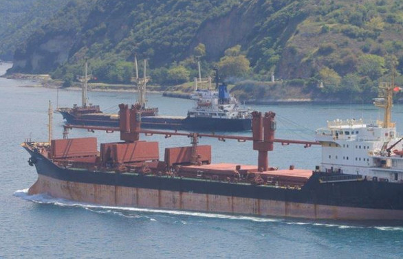 İrlanda canlı hayvan taşıyan iki Türk gemisinin lisansını iptal etti