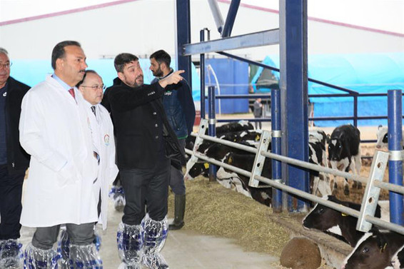Şap aşılama kampanyası Yenişehir’den başladı