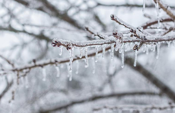 Meteorolojiden kar yağışı ve zirai don uyarısı
