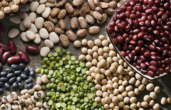 Artan Talep Yayla Agro Yu Kesintisiz Uretime Gecirdi Sirket Haberleri