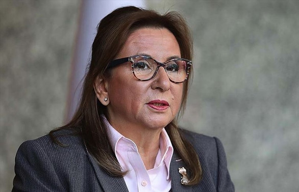 Bakan Pekcan'dan fahiş fiyat ve stokçuluk açıklaması