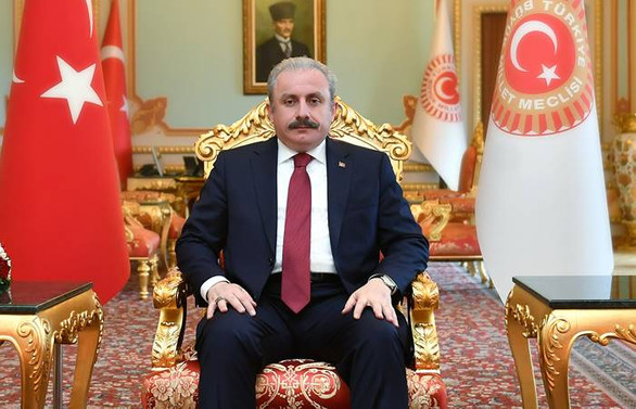 TBMM Başkanı Şentop: Bu yıl çoşkumuzu alanlara taşıramadağımız için mahzunuz