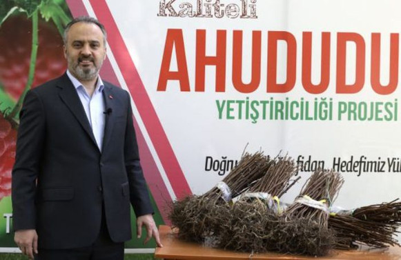 125 bin ahududu fidanı üreticiyle buluştu