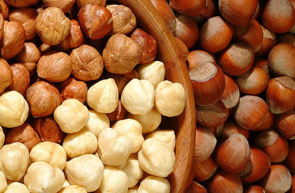 Doğu Karadeniz’in ihracattaki yükselişi devam ediyor