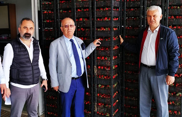Çilek ihracatı yeniden başlasın