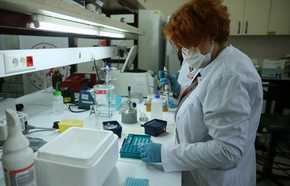 Türkiye'de son 24 saatte 53 can kaybı, bin 704 yeni tanı