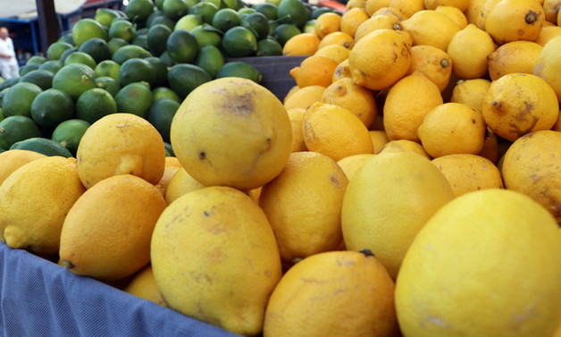 10 bin ton limon ihracatına izin