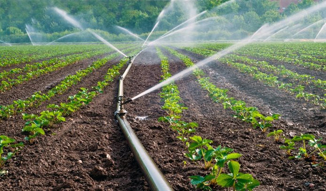 Dicle Elektrik, borçlu sulama abonelerinin elektriğini kesecek