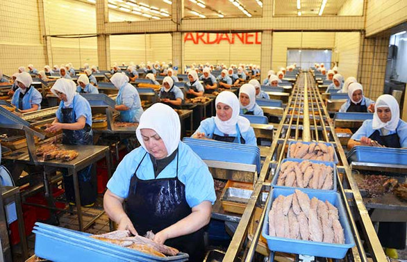 Dardanel ilk çeyrekte cirosunu yüzde 91 artırdı