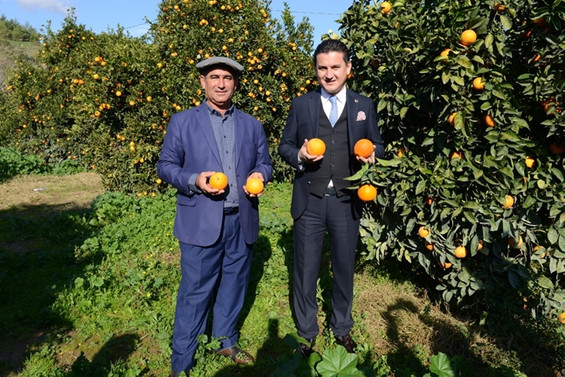 75 yılın en sıcak mayısı portakal ve limonu yaktı