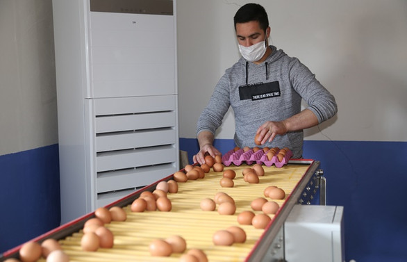 Yumurta üreticileri talebe yetişemiyor