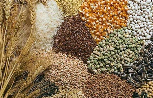 Hububatta prim desteği 20 kuruş olmalı