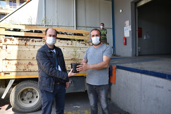 Bursa yaban mersini üretiminde merkez olmak istiyor
