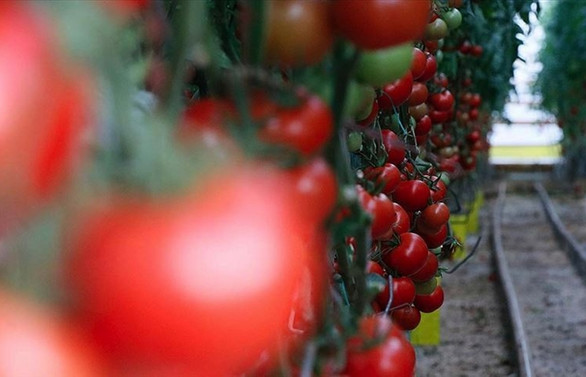 Türkiye gıdaya talebi avantaja çevirdi