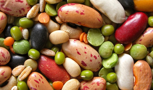 Et ürünleri alternatifi olarak bakliyat proteinleri